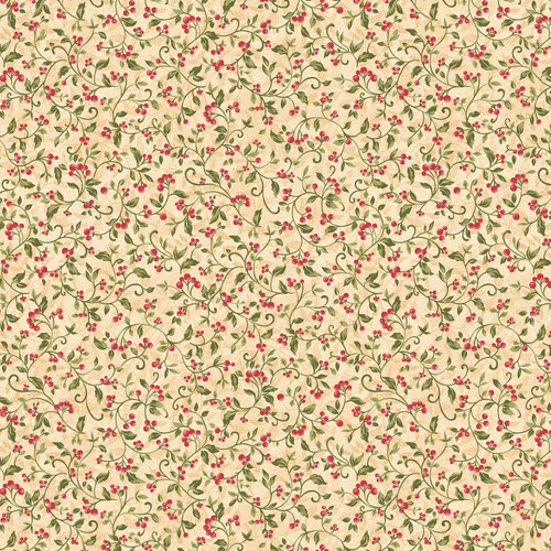 STAR OF WONDER 17061 07