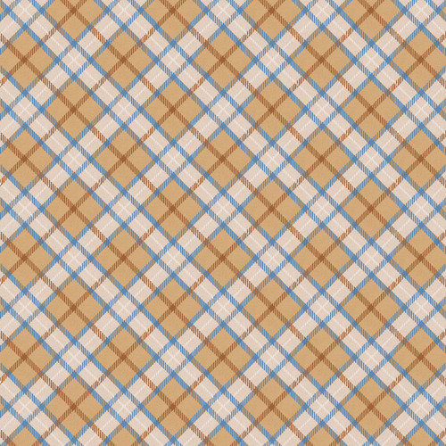 AMERICAN SPIRIT 8783 47 DIGITAL