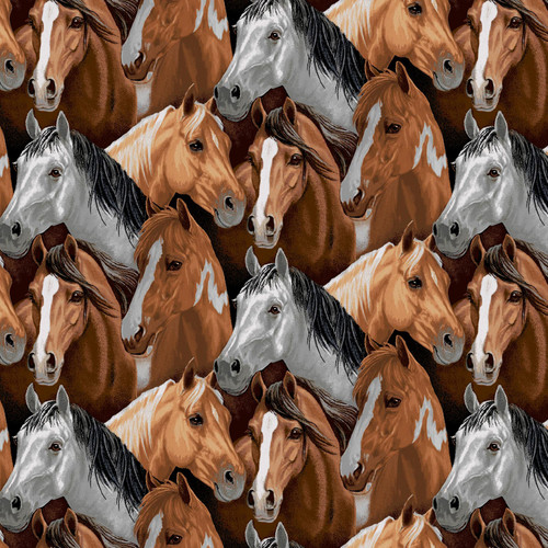 AMERICAN SPIRIT 8785 40 DIGITAL