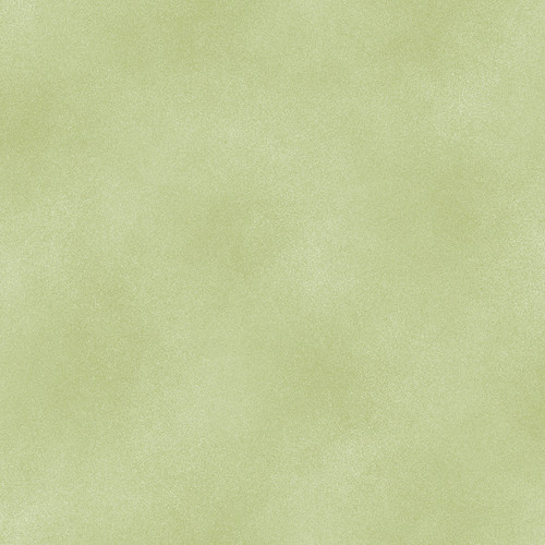 SHADOW BLUSH 2045 14 APPLE GREEN - BASIC