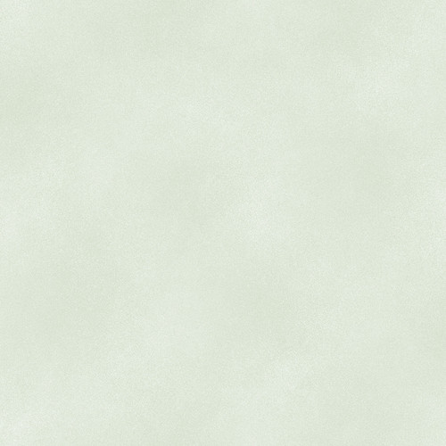 SHADOW BLUSH 2045 16 MINTY - BASIC