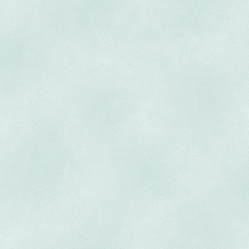 SHADOW BLUSH 2045 17 ROBIN'S EGG - BASIC