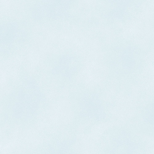 SHADOW BLUSH 2045 18 BABY BLUE - BASIC