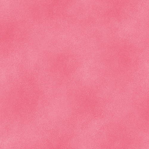 SHADOW BLUSH 2045 24 CARNATION - BASIC