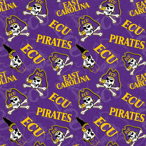 COLLEGE COT PRT E CAROLINA DIGITAL