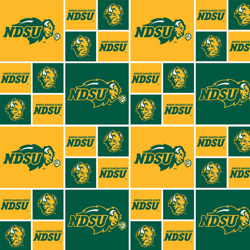 COLLEGE COT PRT N DAKOTA ST 020 DIGITAL