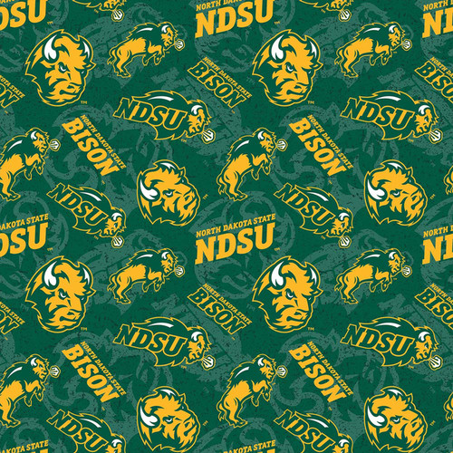 COLLEGE COT PRT N DAKOTA ST 1178 DIGITAL