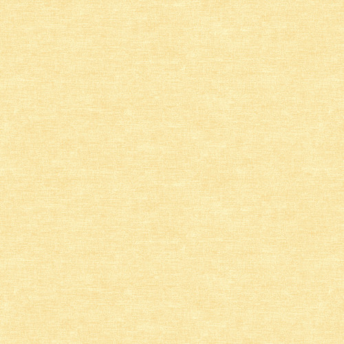 COTTON SHOT 9636 03 BUTTER - BASIC