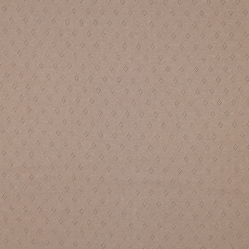 POINTOILLE SOL CAPPUCCHINO COT 55"