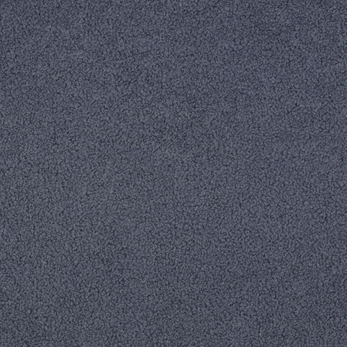 TEDDY FLC DBL SIDED 03443 009 POLYESTER 57"