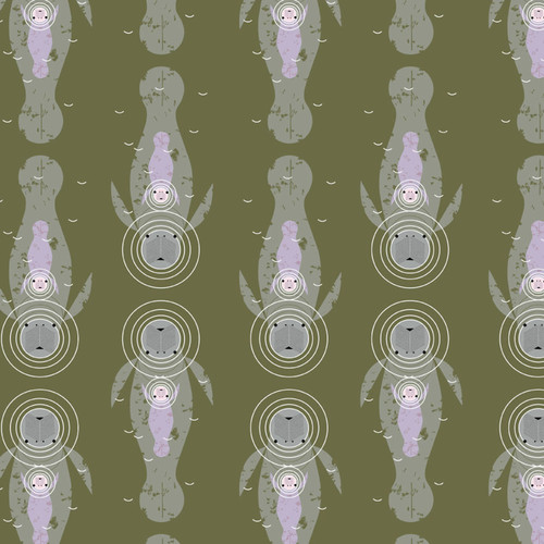 COASTAL VOL. 2 CH 441 ORG POPLIN