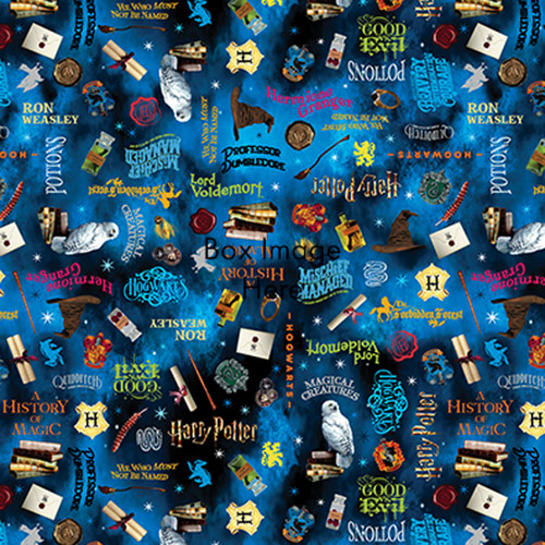 HARRY POTTER 108" 15227W 55