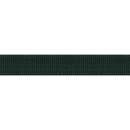WEBBING POLY 1" 25 YDS HUNTER