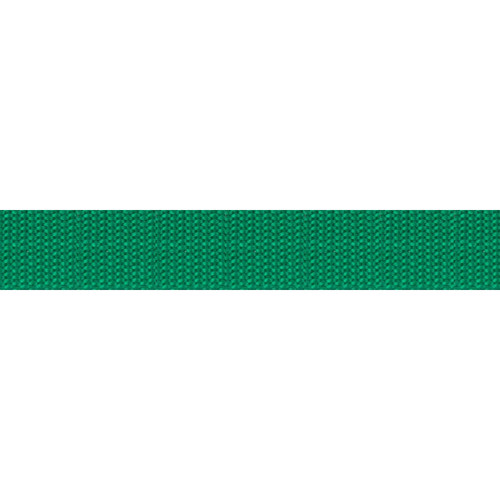 WEBBING POLY 1" 25 YDS KELLY