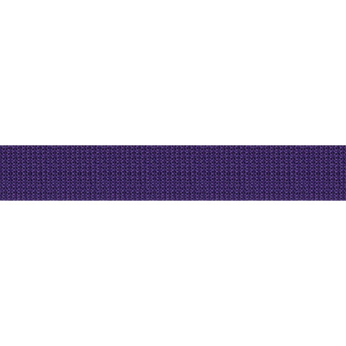 WEBBING POLY 1" 25 YDS PURPLE