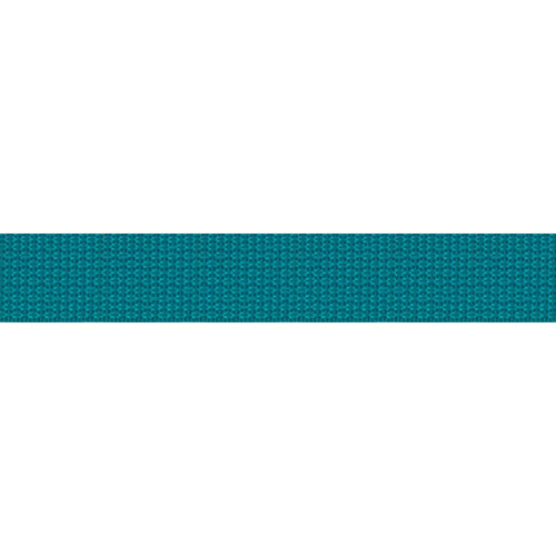 WEBBING POLY 1" 25 YDS TURQUOISE