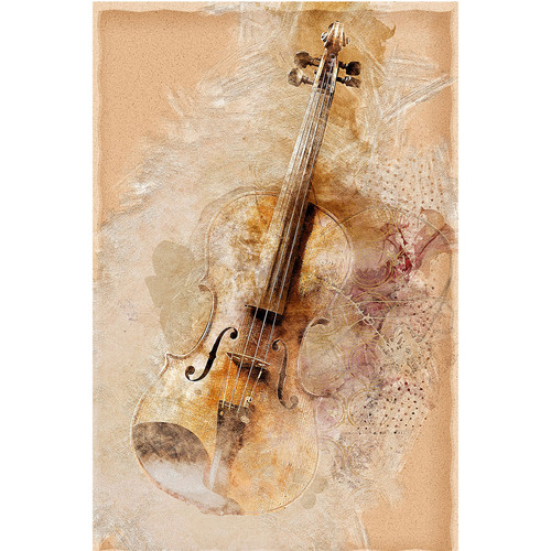 VIOLIN PNL 12.5"x18.5"