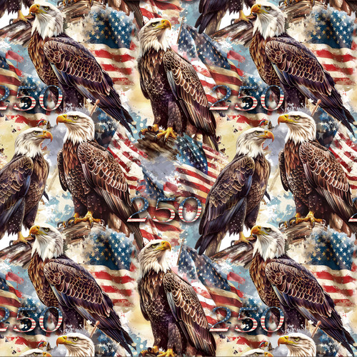 AMERICA 250 YEARS DX 8708 5C 1 DIGITAL