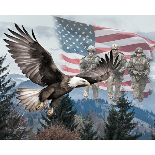 AMERICA 250 YEARS DX 8711 5C 1 PNL DIGITAL