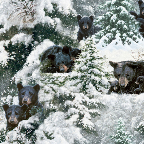 UNDER THE MOONLIGHT 23764 MULTI DIGITAL