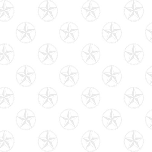 WESTERN STOCK 2006 01W