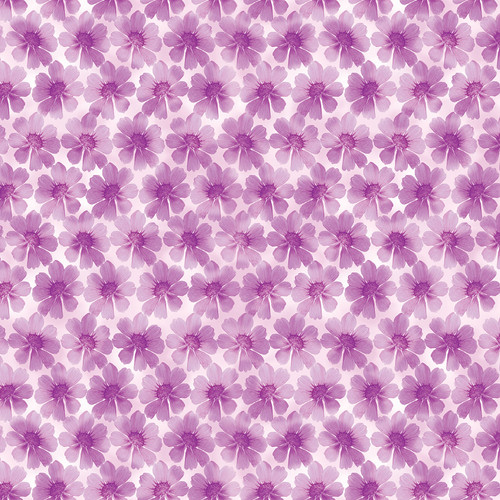 POTPOURRI 12913 21 DIGITAL