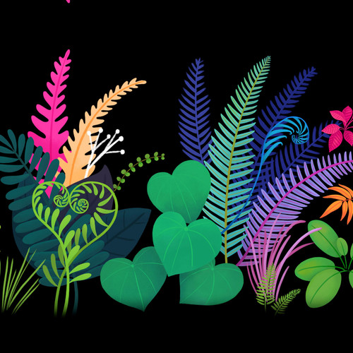 LOVE UNDER THE STARS PWKT062 BLACK DIGITAL