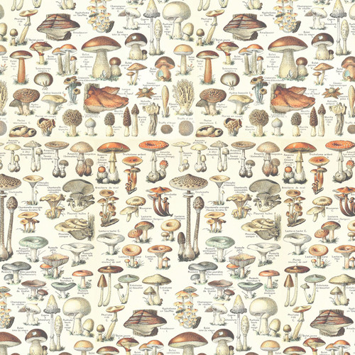 PALETTE CURATED PWTH236 ORANGE DIGITAL