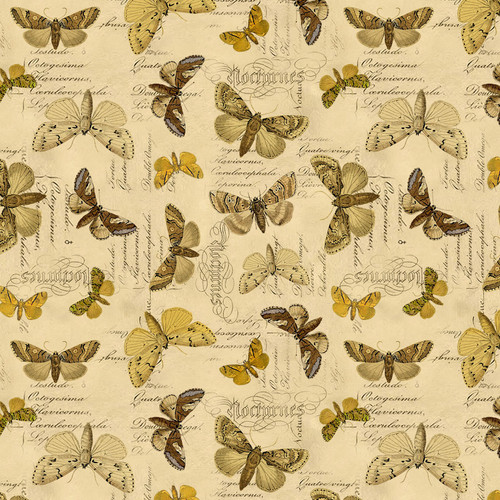 PALETTE CURATED PWTH244 YELLOW DIGITAL