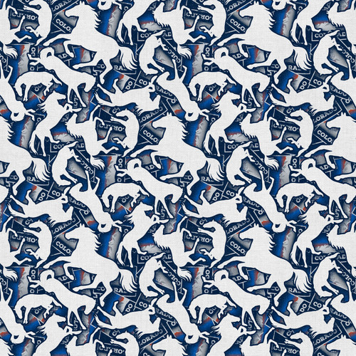 MILE HIGH MATCHUP 120 26822 BLUE/WHITE