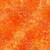URBAN JUNGLE II 10UJB 1 ORANGE DIGITAL