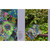 BOOK KAFFE FASSETT'S QUILTS AT ENGLISH MANOR