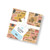 CHARM PK 5" DESERT TEXTURES (42)
