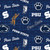COLLEGE JERSEY KNIT PENN STATE 1401 POLY/SPAN 58"