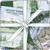 SQUARES 10" NATIONAL PARKS (42) PK OF 4 EA