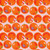 FRESHLY PICKED 340 26644 ORANGE SATEEN 45"