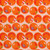 FRESHLY PICKED 360 26644 ORANGE ORG COT CANVAS 58"