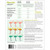 PATTERN FLORENCE FLAMINGO 2026 EDITION