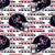 N.F.L. COT HOUSTON TEXANS 70660 WN 45"
