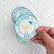 STICKER SILLY GOOSE TEAL PK OF 6 EA