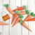 PATTERN FABRIC CARROTS