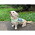 PATTERN WARM & DRY DOG COAT