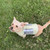 PATTERN WARM & DRY DOG COAT