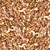 SECRET SQUIRRELS III Y4533 55 DIGITAL