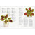 BOOK CROCHET HOUSEPLANTS