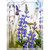 LUPINE WITH HUMMINGBIRD PNL 16"x22"