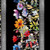 BLOOMING DAY & NIGHT 1BDN 1 BLACK DIGITAL