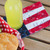 EMBROID FILE CLASSIC VOL. 1 STAR-SPANGLED CELEB