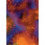 FOSSIL FERN 00528 2FB WINTER SUNSET