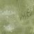 FOSSIL FERN 00528 30B SAGE BRUSH